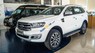 Ford Everest  2.0L Single_Turbo Ambiente MT 2019 - Bán Ford Everest 2.0L Single_Turbo Ambiente MT năm 2019, màu trắng, nhập khẩu, 979 triệu