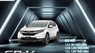 Honda CR V L 2019 - Cần bán Honda CR V L sản xuất 2019, màu đen, nhập khẩu