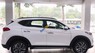 Hyundai Tucson  2.0AT 2019 - Bán xe Hyundai Tucson 2.0AT sản xuất 2019, màu trắng, giá 878tr