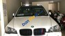 BMW X5  3.0si 2006 - Cần bán BMW X5 3.0si năm sản xuất 2006, màu trắng