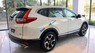 Honda CR V  L 2019 - Cần bán Honda CR V L sản xuất 2019, màu trắng, xe nhập