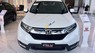 Honda CR V  L 2019 - Cần bán Honda CR V L sản xuất 2019, màu trắng, xe nhập