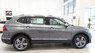 Volkswagen Tiguan E 2019 - VW Tiguan Allspace 2019 SUV 7 chỗ nhãn hiệu Đức - hotline: 0909717983