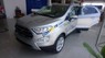 Ford EcoSport 2019 - Bán Ford EcoSport năm sản xuất 2019, màu bạc