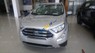 Ford EcoSport 2019 - Bán Ford EcoSport năm sản xuất 2019, màu bạc