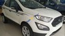 Ford EcoSport 2019 - Bán xe Ford EcoSport năm sản xuất 2019, màu trắng
