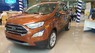 Ford EcoSport Titanium 2019 - Cần bán Ford EcoSport Titanium năm sản xuất 2019