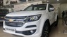 Chevrolet Colorado 4x4 AT LTZ 2019 - Bán Chevrolet Colorado 4x4 AT LTZ năm 2019, màu trắng, nhập khẩu nguyên chiếc