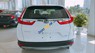 Honda CR V 2019 - Bán xe Honda CR V năm sản xuất 2019, màu trắng, xe nhập