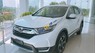 Honda CR V 2019 - Bán xe Honda CR V năm sản xuất 2019, màu trắng, xe nhập
