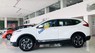 Honda CR V 2019 - Cần bán xe Honda CR V năm sản xuất 2019, màu trắng, nhập khẩu nguyên chiếc