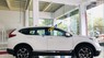 Honda CR V 2019 - Cần bán xe Honda CR V năm sản xuất 2019, màu trắng, nhập khẩu nguyên chiếc