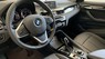 BMW X1 2019 - Cần bán BMW X1 năm 2019, màu xanh lam, nhập khẩu