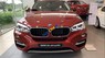 BMW X6   2019 - Bán BMW X6 sản xuất 2019, màu đỏ, xe nhập