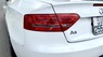Audi A5 2011 - Bán xe Audi A5 mui trần nhập Đức 2011, 2 cửa, 4 chỗ
