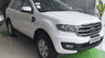 Ford Everest Ambiente 2019 - Ford Everest Ambiente 2019 vừa tầm tay cho bạn