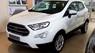 Ford EcoSport Titanium 2019 - Ford Ecosport tiện dụng cho thành thị