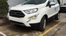 Ford EcoSport 2019 - Bán Ford EcoSport năm 2019, màu trắng