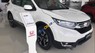 Honda CR V E 2019 - Bán ô tô Honda CR V sản xuất 2019, màu trắng, xe nhập Thái Lan