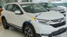 Honda CR V  E 2019 - Bán Honda CR V năm 2019, màu trắng, nhập khẩu Thái