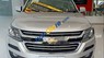 Chevrolet Colorado  MT 4x4 2019 - Bán Chevrolet Colorado MT 4x4 năm sản xuất 2019, màu bạc, nhập khẩu nguyên chiếc, 619tr