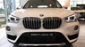 BMW X1 18i 2019 - Bán ô tô BMW X1 18i năm 2019, màu trắng, xe nhập