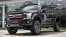 Ford F 150 2019 - Bán Ford F 150 Harley Davidson 5.0 sản xuất năm 2019, màu đen, xe nhập