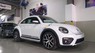 Volkswagen Beetle 2018 - Bán xe Volkswagen Beetle sản xuất năm 2018, màu trắng, nhập khẩu