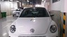 Volkswagen Beetle 2018 - Bán xe Volkswagen Beetle sản xuất năm 2018, màu trắng, nhập khẩu