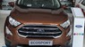 Ford EcoSport Ambient 2019 - Cần bán Ford EcoSport Ambient sản xuất năm 2019, màu nâu
