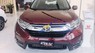 Honda CR V  L 2019 - Cần bán xe Honda CR V L sản xuất 2019, màu đỏ, xe nhập