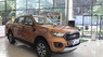 Ford Ranger   Wildtrak 2019 - Bán ô tô Ford Ranger Wildtrak sản xuất 2019, màu nâu, nhập khẩu nguyên chiếc, giá 868tr