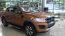 Ford Ranger   Wildtrak 2019 - Bán ô tô Ford Ranger Wildtrak sản xuất 2019, màu nâu, nhập khẩu nguyên chiếc, giá 868tr