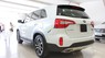 Kia Sorento GATH  2019 - Cần bán xe Kia Sorento GATH sản xuất 2019, màu trắng