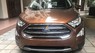 Ford EcoSport Titanium 1.5L AT 2019 - Bán xe Ford EcoSport Titanium 1.5L AT năm 2019