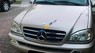 Mercedes-Benz ML Class ML500 2003 - Cần bán Mercedes ML500 sản xuất 2003, màu bạc