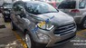 Ford EcoSport Titanium 1.0L  2019 - Bán xe Ford EcoSport Titanium 1.0L sản xuất 2019, màu xám