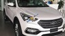Hyundai Santa Fe 2018 - Xe Hyundai Santa Fe sản xuất 2018, màu trắng