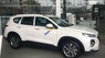 Hyundai Santa Fe   2019 - Bán xe Hyundai Santa Fe năm sản xuất 2019, màu trắng, giá 1 tỷ 060