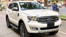 Ford Everest Ambiente 2.0L 2019 - Bán Ford Everest Ambiente 2.0L sản xuất 2019, màu vàng, nhập khẩu nguyên chiếc