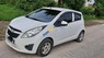 Chevrolet Spark  Van 2011 - Xe Chevrolet Spark Van sản xuất năm 2011, màu trắng, nhập khẩu