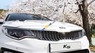 Kia Optima 2019 - Bán xe Kia Optima năm sản xuất 2019, màu trắng, 789 triệu