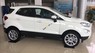 Ford EcoSport 1.0 Titanium 2019 - Bán ô tô Ford EcoSport 1.0 Titanium năm 2019, màu trắng