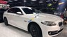 BMW 5 Series 520i 2015 - Bán BMW 5 Series 520i sản xuất năm 2015, màu trắng
