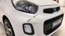 Kia Morning 2019 - Cần bán xe Kia Morning năm sản xuất 2019, màu trắng giá cạnh tranh