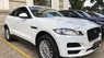 Jaguar Wigo Pure 2019 - Bán xe Jaguar F-Pace Pure nhập mới giá tốt, giá bán Jaguar F-pace mới 2020