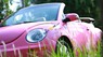 Volkswagen Beetle 2008 - Bán Volkswagen Beetle năm 2008, màu hồng, nhập khẩu 