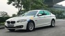 BMW 5 Series 2013 - Bán ô tô BMW 5 Series 520i năm 2013, màu trắng, nhập khẩu