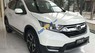 Honda CR V 2019 - Bán Honda CR V năm sản xuất 2019, nhập khẩu
