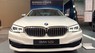 BMW 5 Series 520i 2019 - Bán BMW 5 Series 520i 2019, màu trắng, nhập khẩu nguyên chiếc mới 100%, giảm 230 triệu tiền mặt, hỗ trợ trả góp 85%